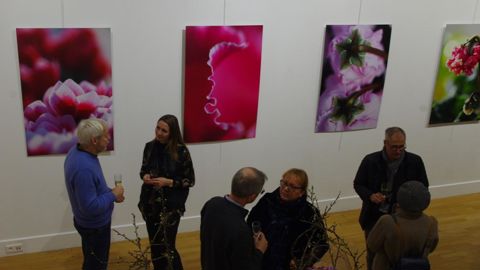 Le 6 février 2020, l’exposition éphémère - « Complètement Cyclamen » - était organisée à Paris dans l’espace Charlot. ©Y. Haddad 